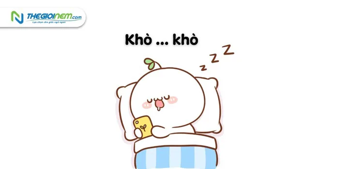 anh-meme-chuc-ngu-ngon-26