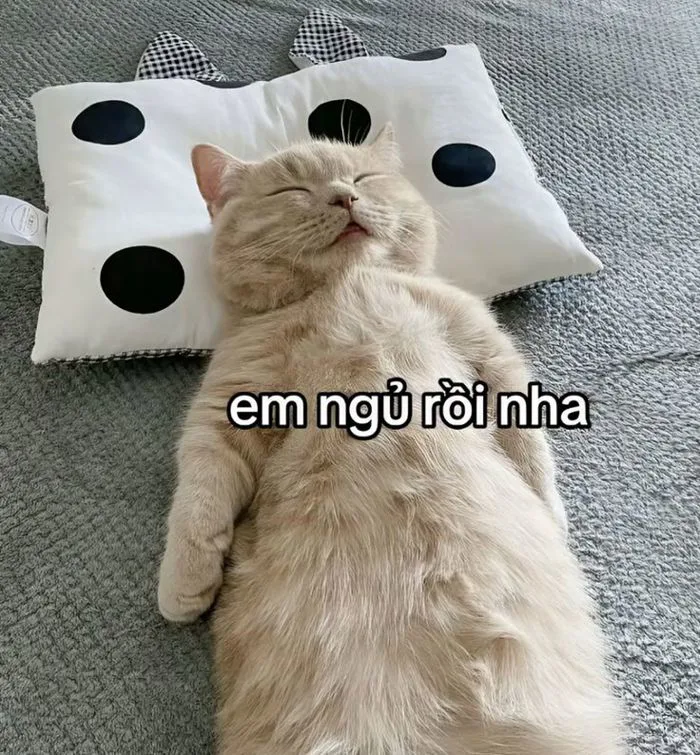 anh-meme-chuc-ngu-ngon-27