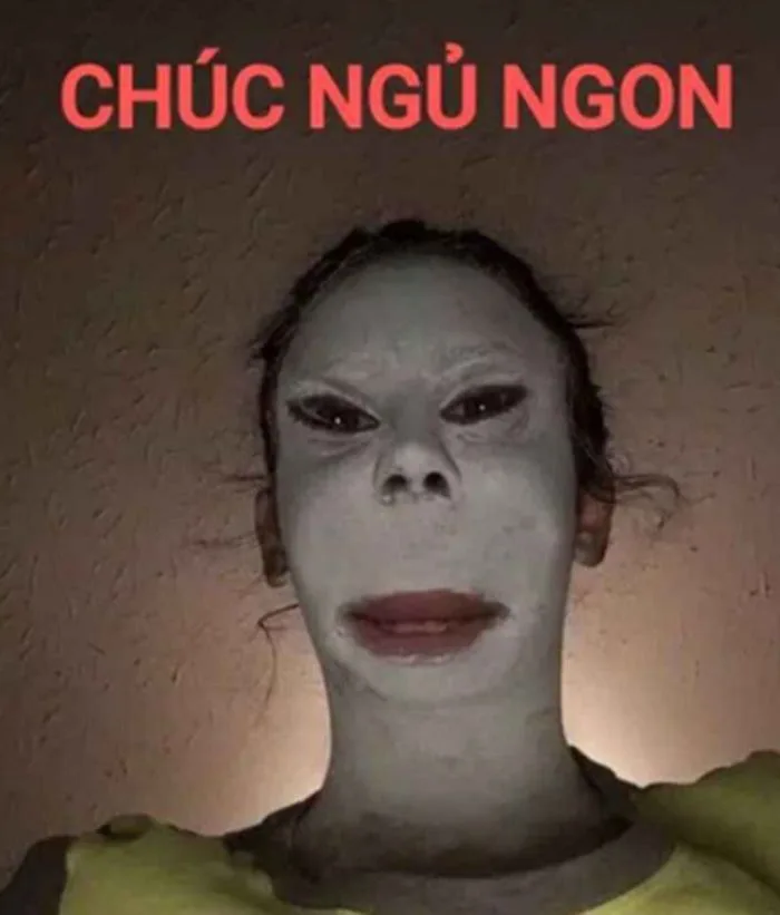 anh-meme-chuc-ngu-ngon-3