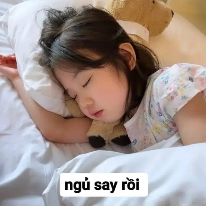 anh-meme-chuc-ngu-ngon-33