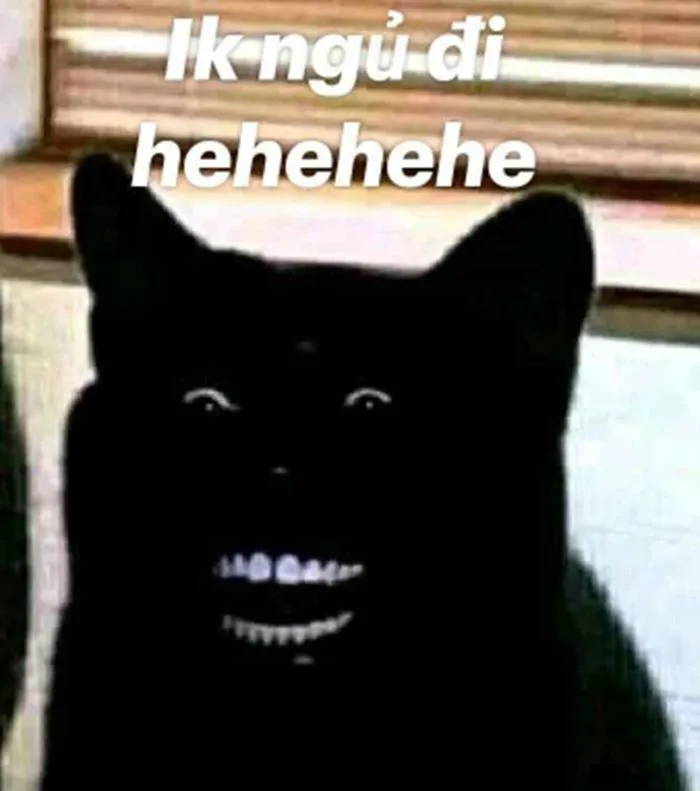 anh-meme-chuc-ngu-ngon-34