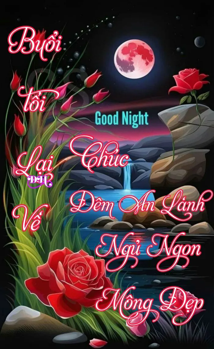 anh-meme-chuc-ngu-ngon-35
