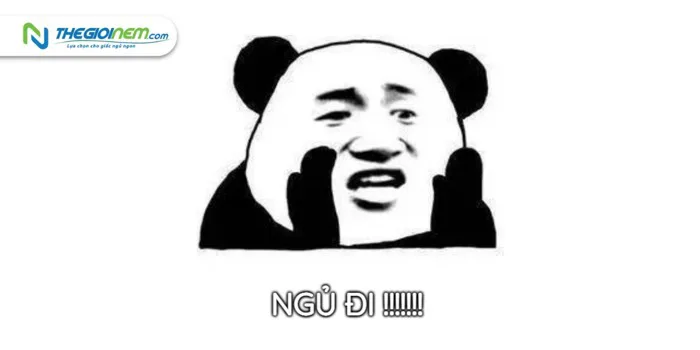 anh-meme-chuc-ngu-ngon-4
