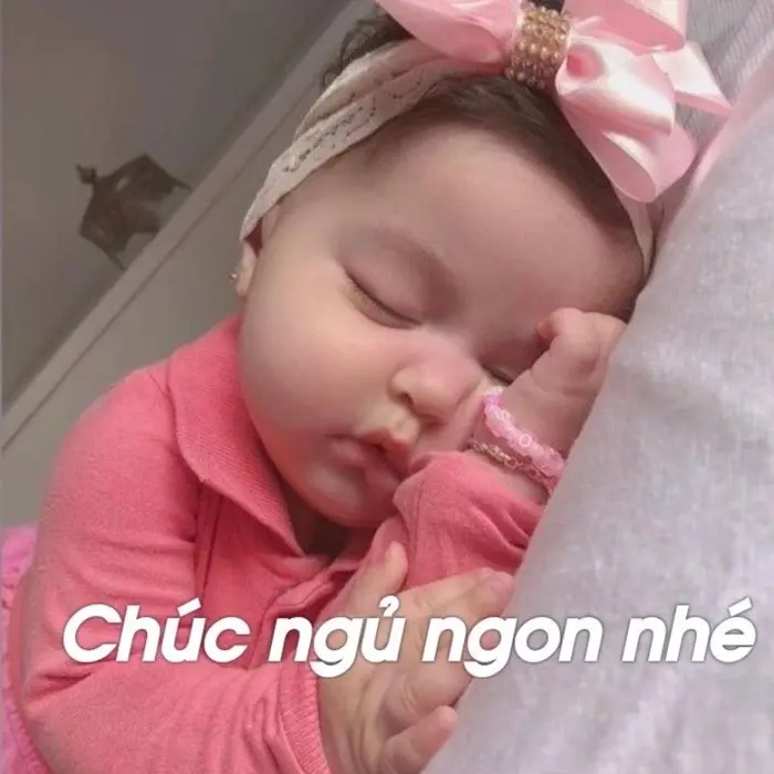 anh-meme-chuc-ngu-ngon-5