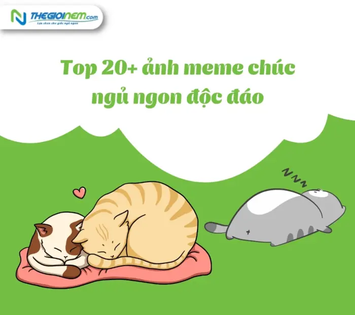 anh-meme-chuc-ngu-ngon-6