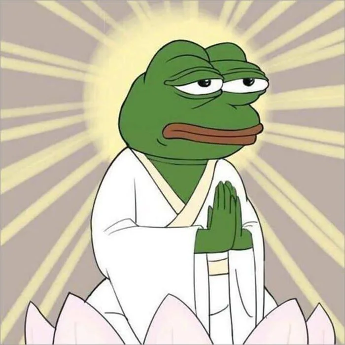 Tuyển tập những meme ếch hài hước nhất, mang đến tiếng cười sảng khoái