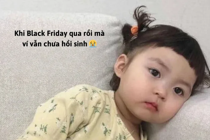 Black Friday meme: Bộ sưu tập ảnh chế hài hước và công cụ tạo meme miễn phí  cho mùa săn sale | ROSA Computer