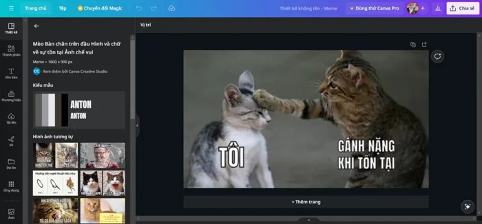 Top 6 công cụ tạo ảnh chế meme độc lạ, dễ làm