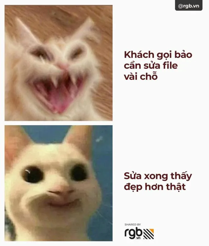 Tổng hợp meme cuộc sống designer & agency cho chuỗi ngày chạy deadline thêm  vui – RGB