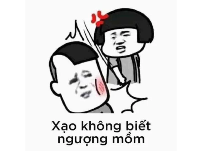 Tổng Hợp 99+ Ảnh Meme Đánh Nhau CỰC CHIẾN | Yody