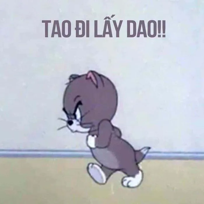 Tổng Hợp 99+ Ảnh Meme Đánh Nhau CỰC CHIẾN | Yody