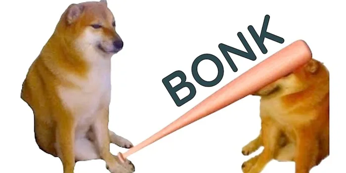 Bộ sưu tập meme đánh nhau, meme mèo đánh nhau hài hước, vui nhộn