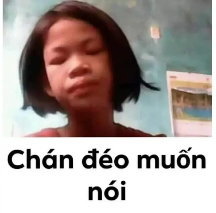 Tổng Hợp 101+ Meme Đéo Tin Viral Nhất Dành Cho Gen Z
