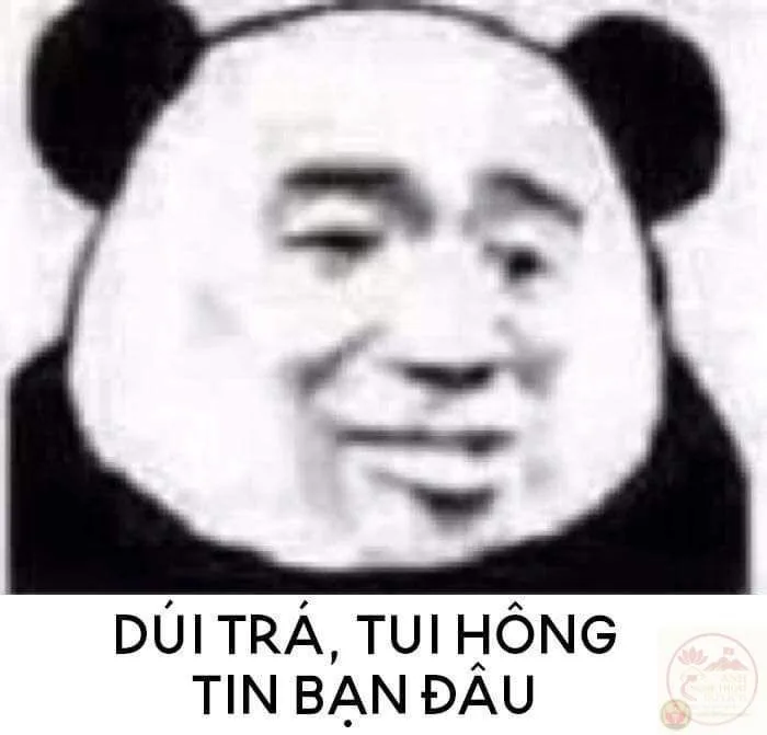 100+ ảnh đéo tin meme “tin thế éo nào được”, gif hài đỉnh