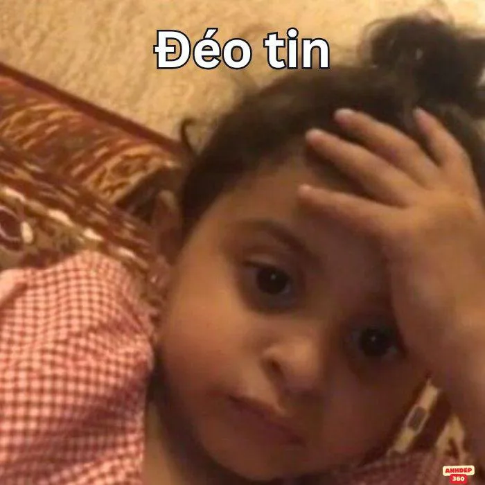 166+ Meme Đéo Tin gif tin thế éo nào siêu hài