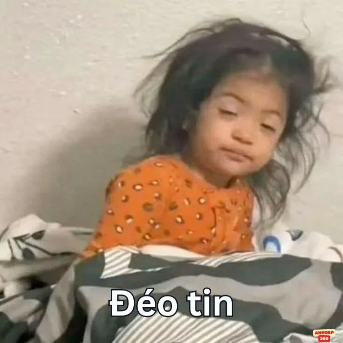 166+ Meme Đéo Tin gif tin thế éo nào siêu hài