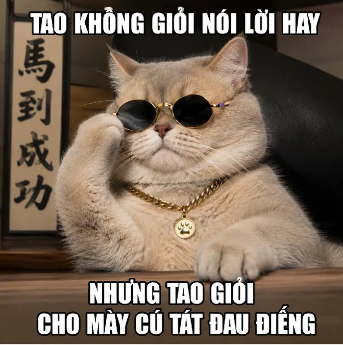 148+ Meme Mèo Đeo Kính ngầu bá đạo dân mạng phát cuồng