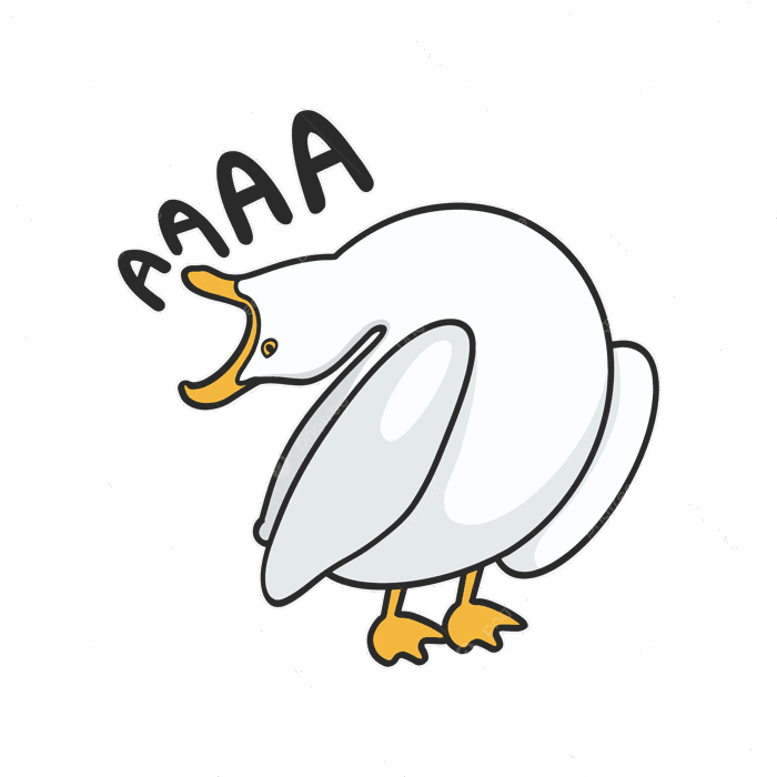 Hình ảnh La Hét Hải âu động Vật Meme Nhãn Dán áo Thun Vector Minh Họa Dễ  Thương PNG , Clipart động Vật, Clipart Chim Mòng Biển, Meme động Vật PNG và