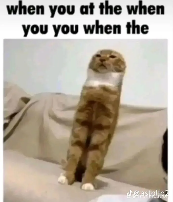 Ê cả nhà ơi, giúp mình tìm font chữ này với, nó hay được dùng trong mấy meme  lắm mà mình không biết đó là font gì ấy. : r/identifythisfont