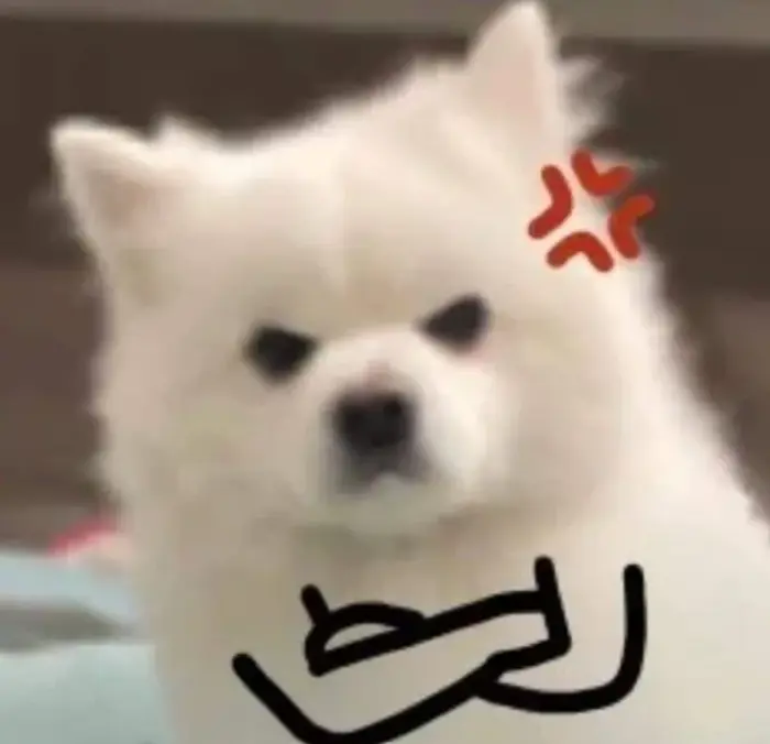 Full 80+ meme tức giận cute, dễ thương, hung dữ chế cực vui