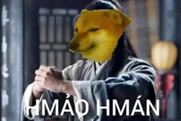 anh-meme-hao-han-13