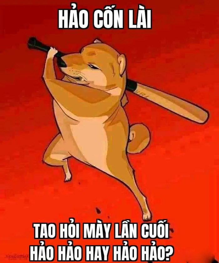anh-meme-hao-han-16