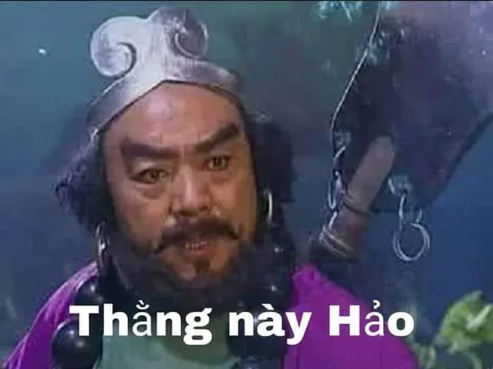 anh-meme-hao-han-25