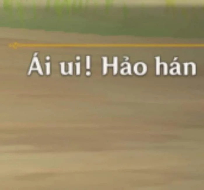 anh-meme-hao-han-26