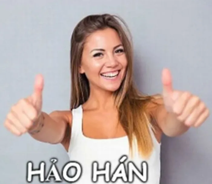 anh-meme-hao-han-29