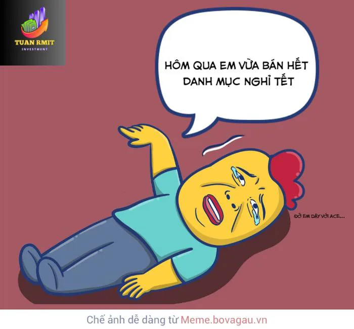anh-meme-hao-han-31