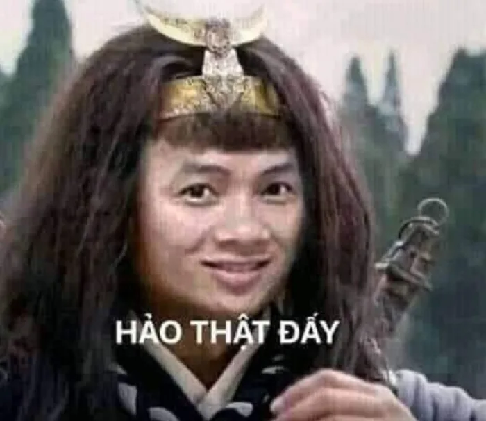anh-meme-hao-han-6