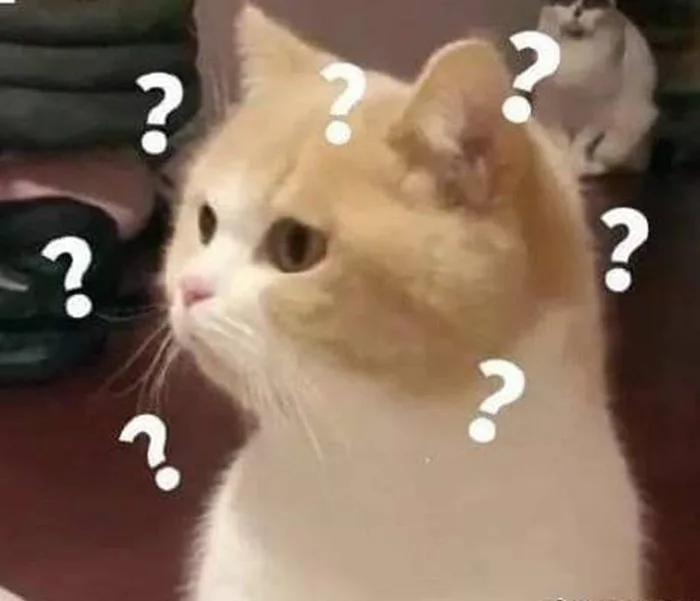Tổng hợp meme hỏi chấm vui nhộn