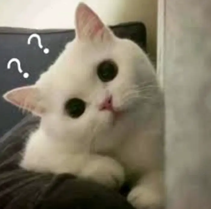 Khám phá kho meme hỏi chấm hài hước và thú vị nhất 2026