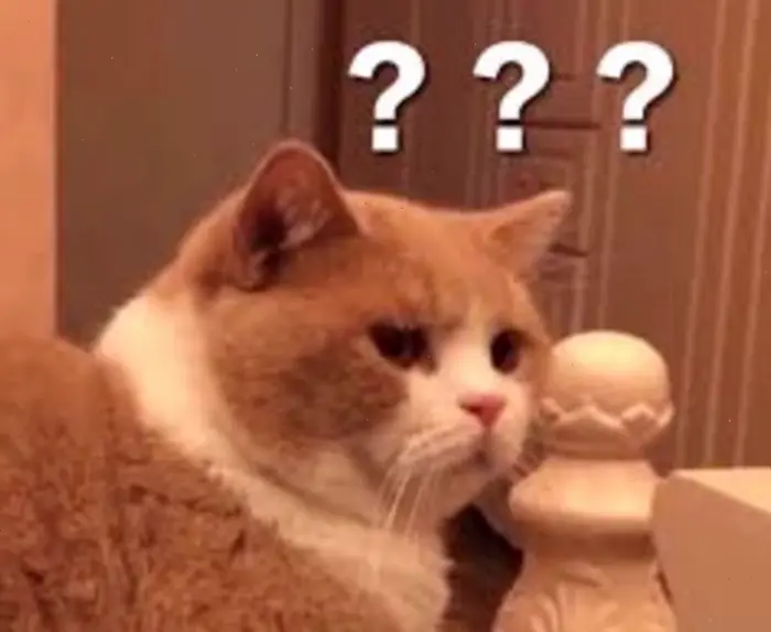 Khám phá kho meme hỏi chấm hài hước và thú vị nhất 2026