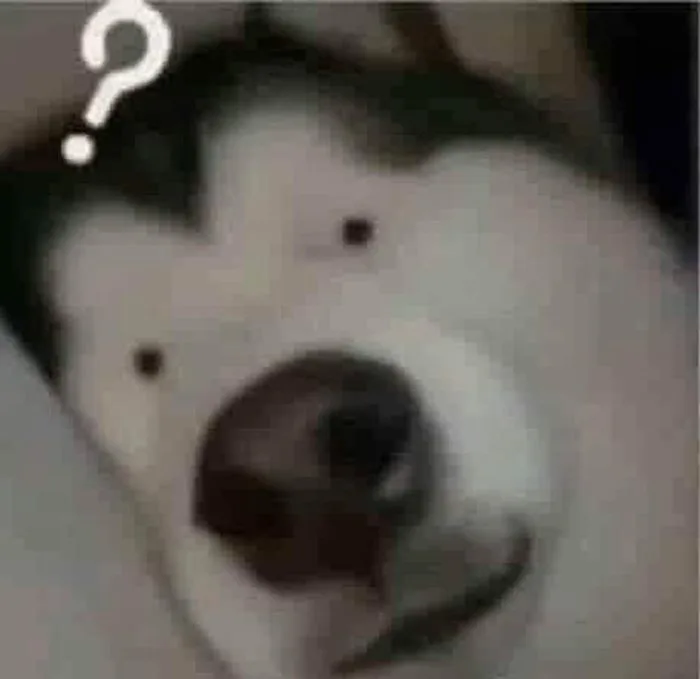 BST 100+ Ảnh Meme Hỏi Chấm Khi Bạn Không Hiểu Chuyện Gì