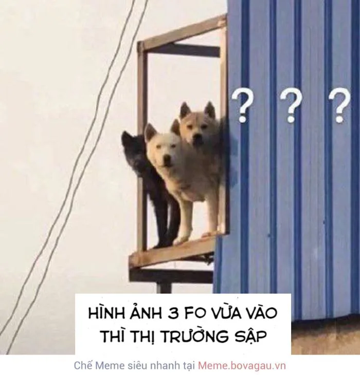 Tổng hợp meme hỏi chấm cực hài hước dành cho nhà đầu tư