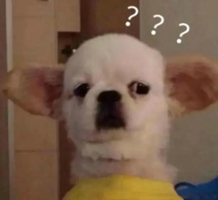 BST 100+ Ảnh Meme Hỏi Chấm Khi Bạn Không Hiểu Chuyện Gì
