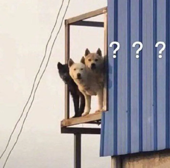 Tổng hợp meme hỏi chấm vui nhộn