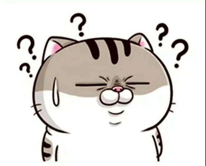101 mẫu hình ảnh meme mèo hỏi chấm hài hước, cute, tải miễn phí