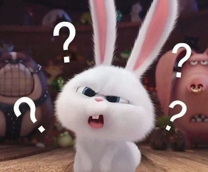 BST 100+ Ảnh Meme Hỏi Chấm Khi Bạn Không Hiểu Chuyện Gì
