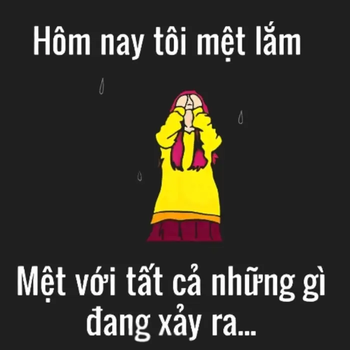 anh-meme-met-moi-17