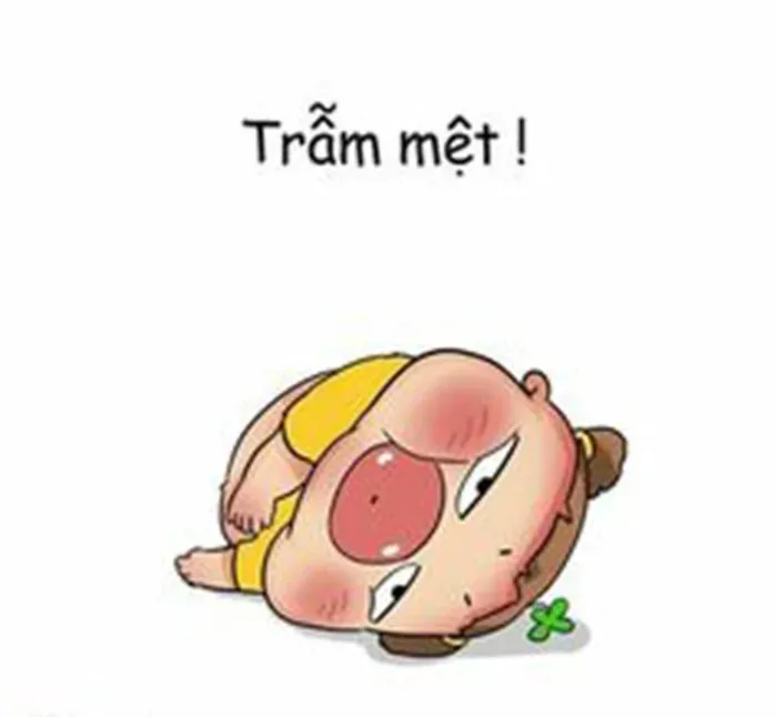 anh-meme-met-moi-20