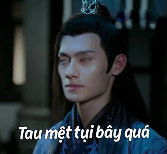 anh-meme-met-moi-21