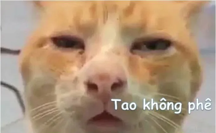 anh-meme-met-moi-26