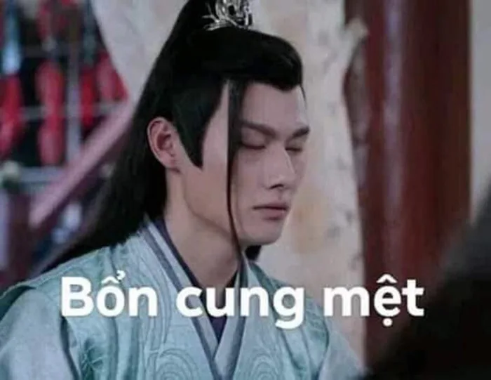 anh-meme-met-moi-33