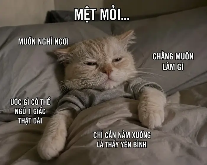 anh-meme-met-moi-5