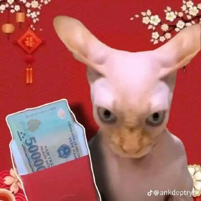 anh-meme-tet-1