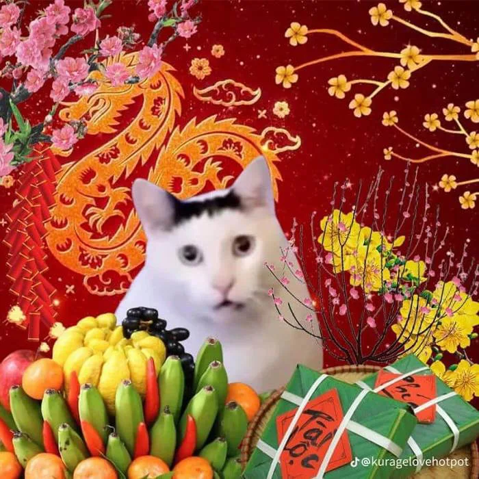 30+ meme Tết hài hước, thú vị cho năm mới nhiều niềm vui