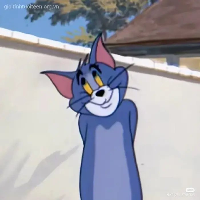 Top 150+ ảnh Meme Tom And Jerry hài hước, vui nhộn từ bộ hoạt hình kinh điển
