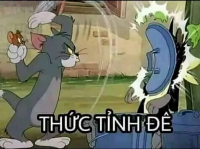 Tuyển tập Tom and Jerry meme chế hài hước nhất hiện nay
